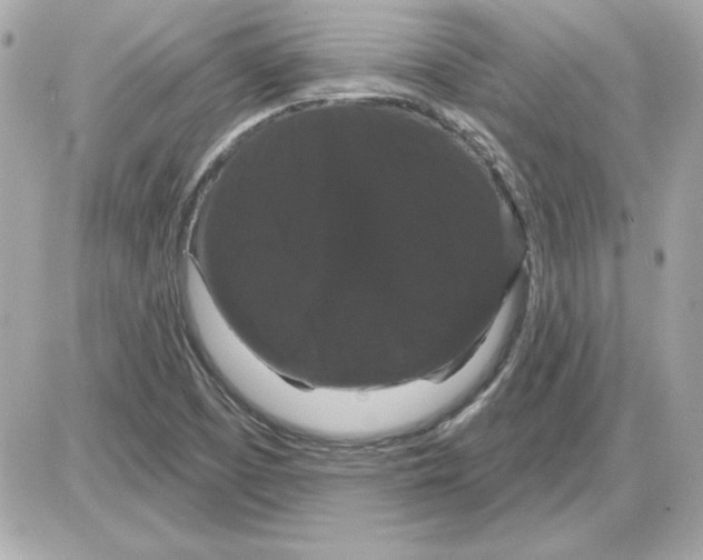 X0000085221457200704091919