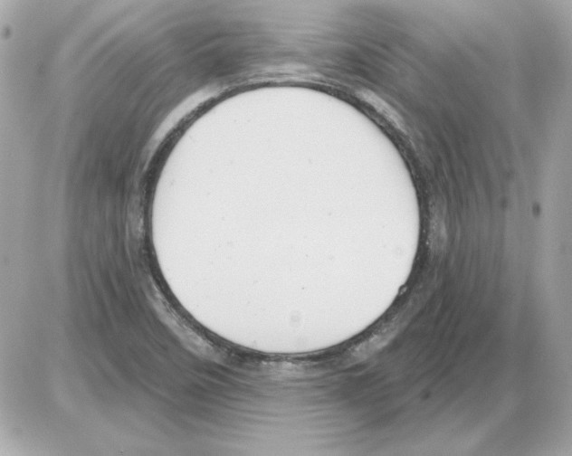 X0000085221458200704091919