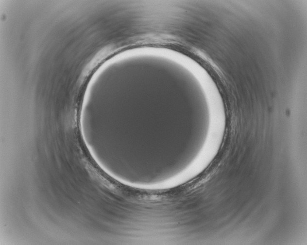 X0000085221459200704091919