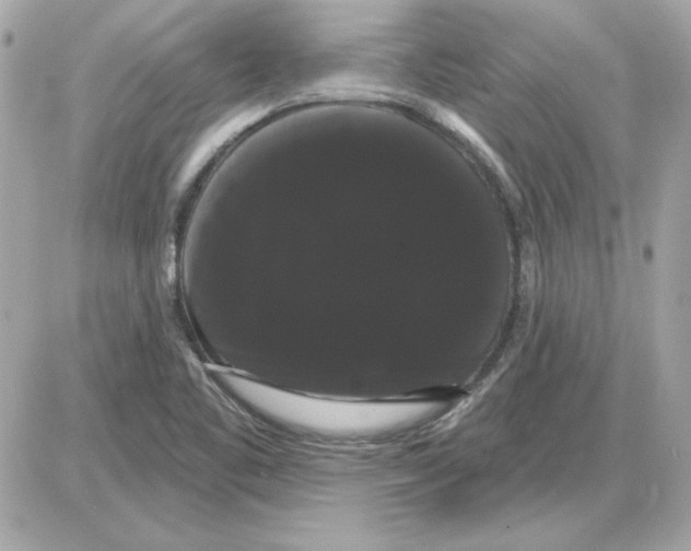 X0000085221461200704091919