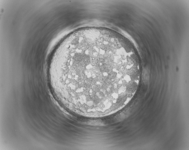 X0000085221464200704091919