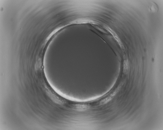 X0000085221465200704091919
