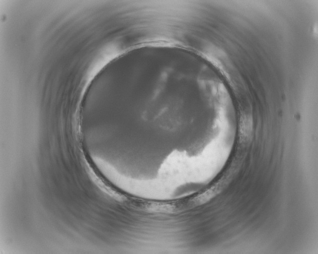 X0000085221466200704091919