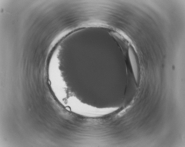 X0000085221469200704091919