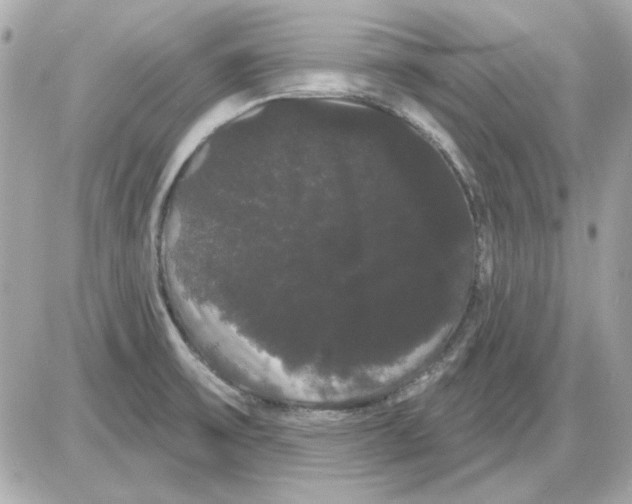 X0000085221475200704091919