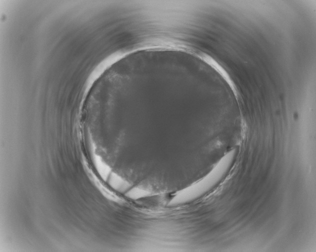 X0000085221485200704091919