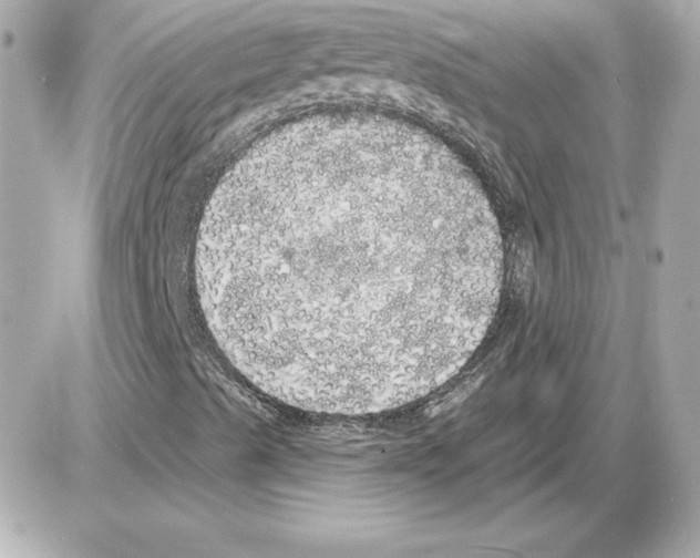 X0000085221489200704091918