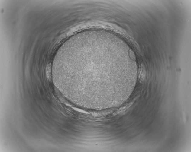 X0000085221490200704091918