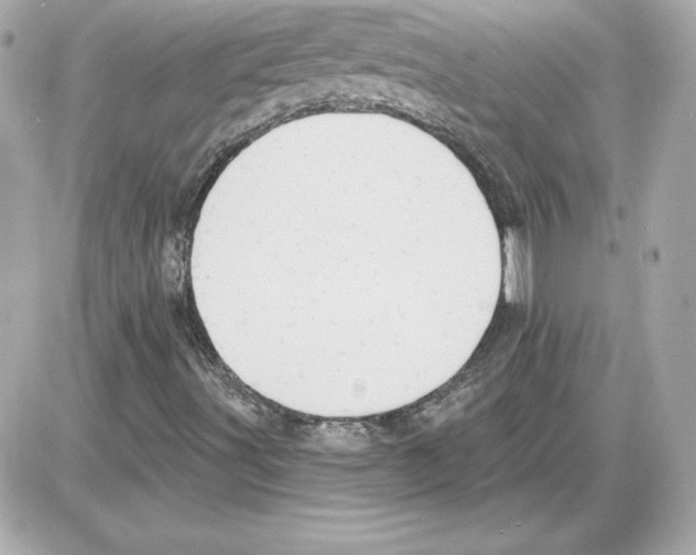 X0000085221491200704091918