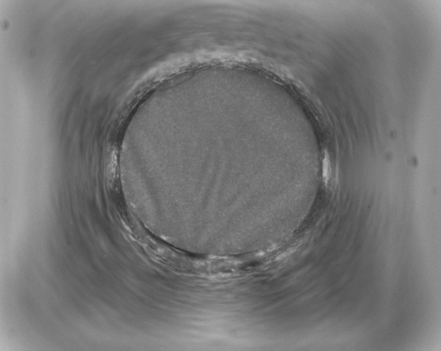 X0000085221492200704091918
