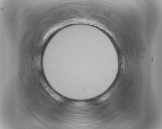 X0000085221499200704091918