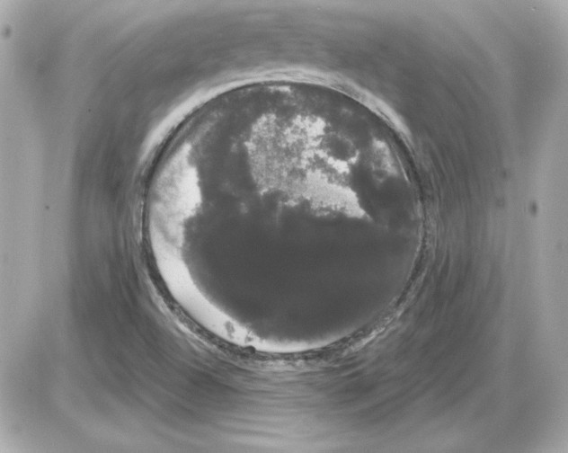 X0000085221504200704091918