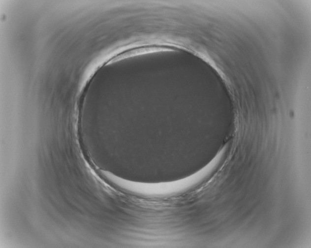 X0000085221508200704091918