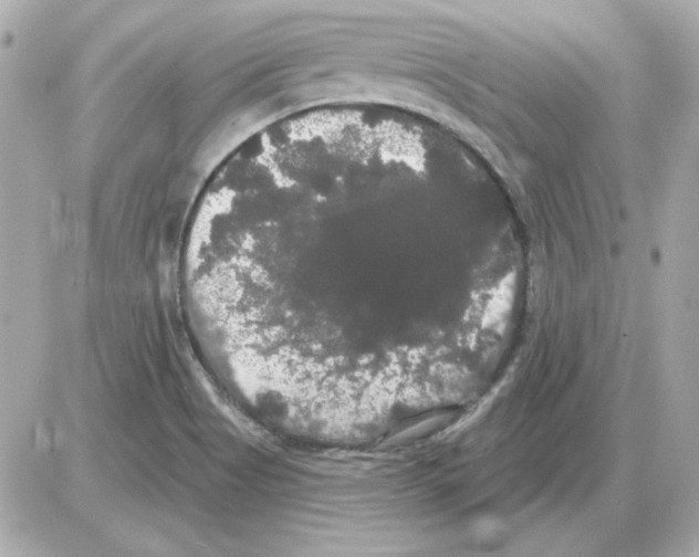 X0000085221513200704091918