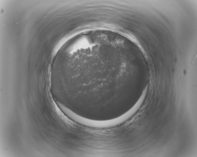 X0000085221524200704091919