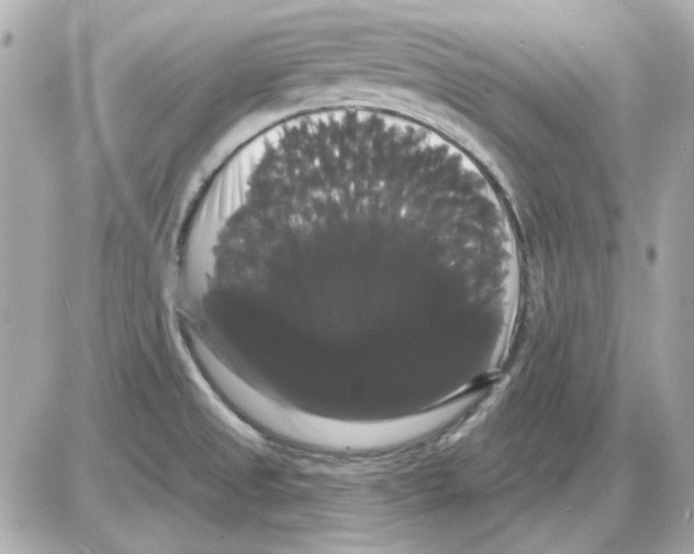 X0000085221525200704091919