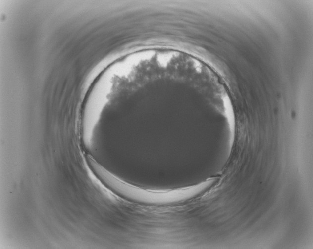 X0000085221527200704091919