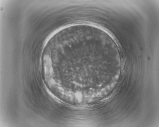X0000085221535200704091919