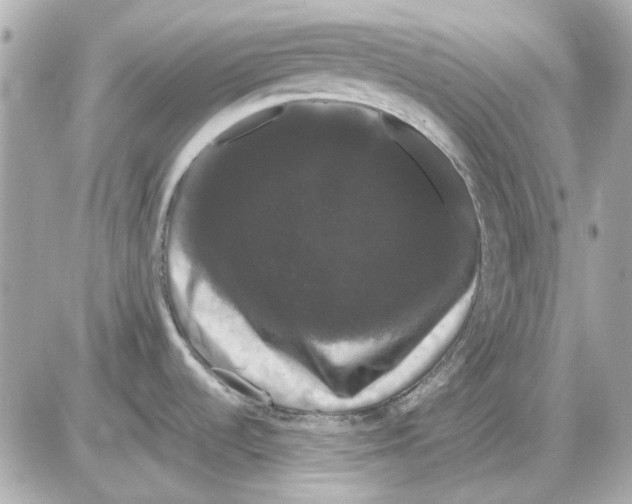 X0000085221536200704091919