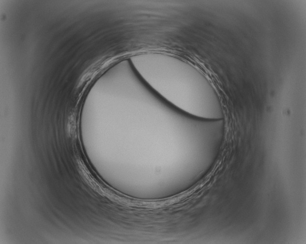 X0000085230002200703090908