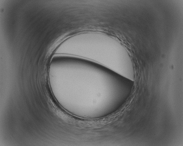 X0000085230005200703090908