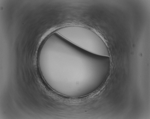 X0000085230008200703090908
