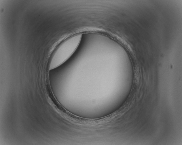 X0000085230015200703090908