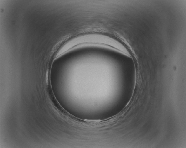 X0000085230019200703090908