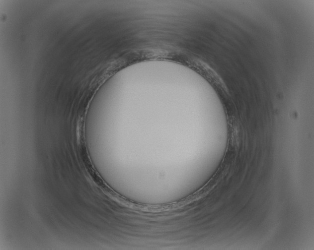 X0000085230026200703090908