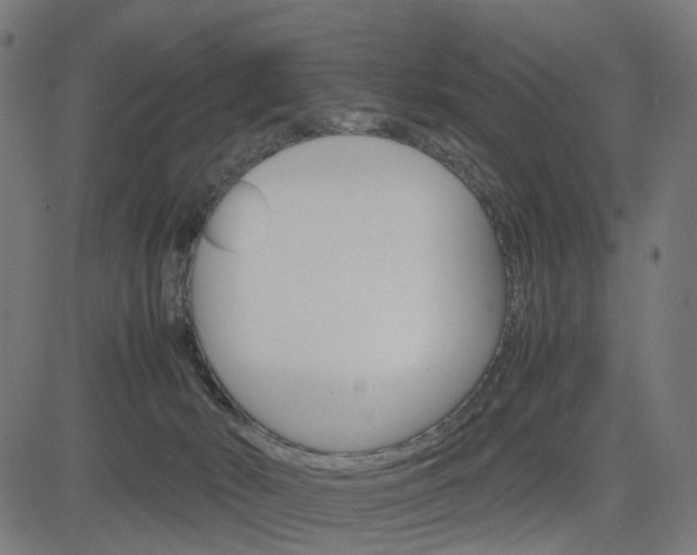 X0000085230030200703090908