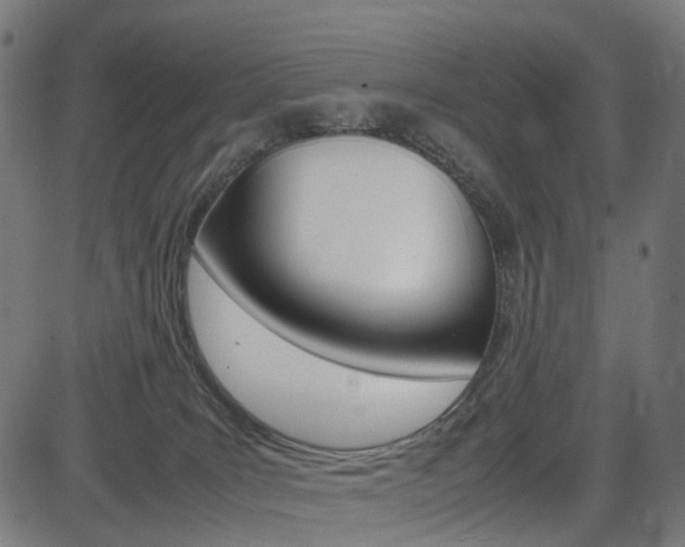 X0000085230035200703090908