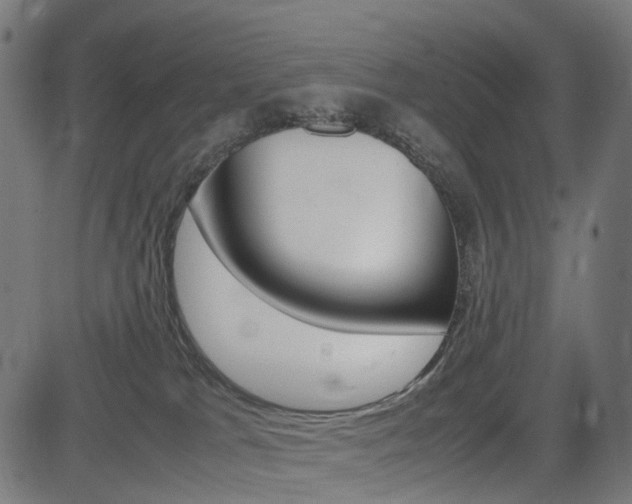 X0000085230037200703090908