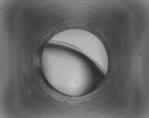 X0000085230039200703090908