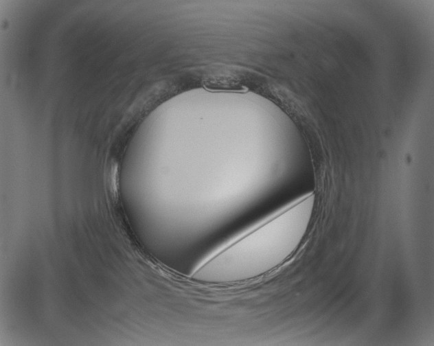 X0000085230041200703090908