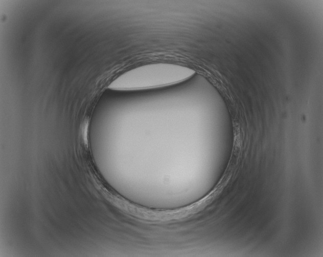 X0000085230047200703090908