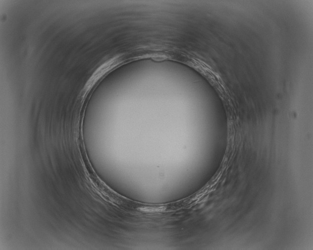 X0000085230051200703090907
