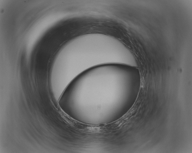 X0000085230052200703090907