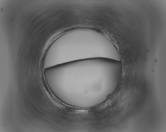 X0000085230053200703090907