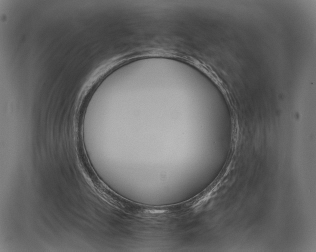 X0000085230055200703090907