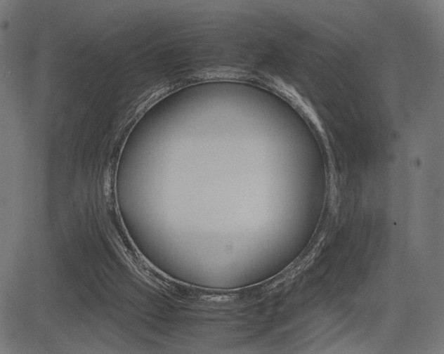 X0000085230057200703090907