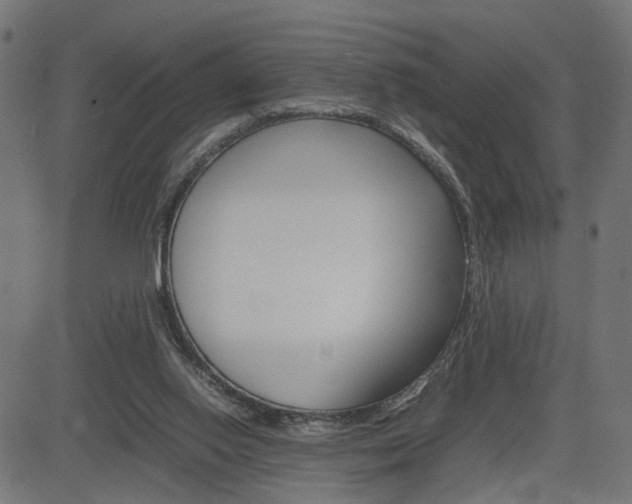 X0000085230062200703090907