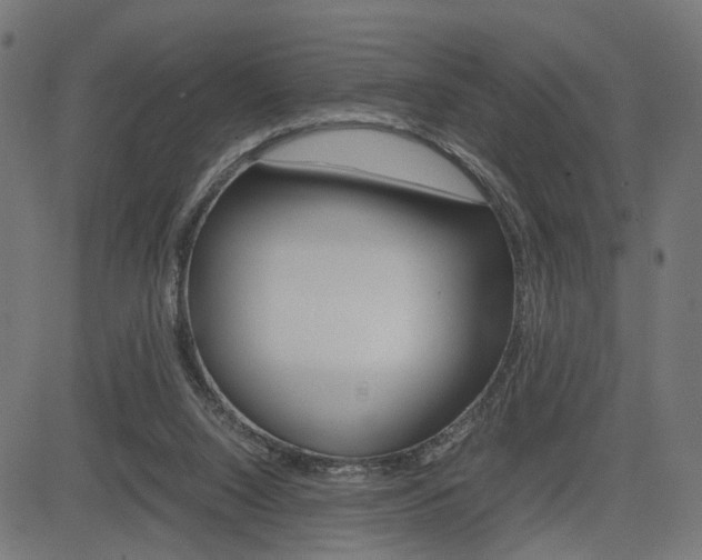 X0000085230064200703090907