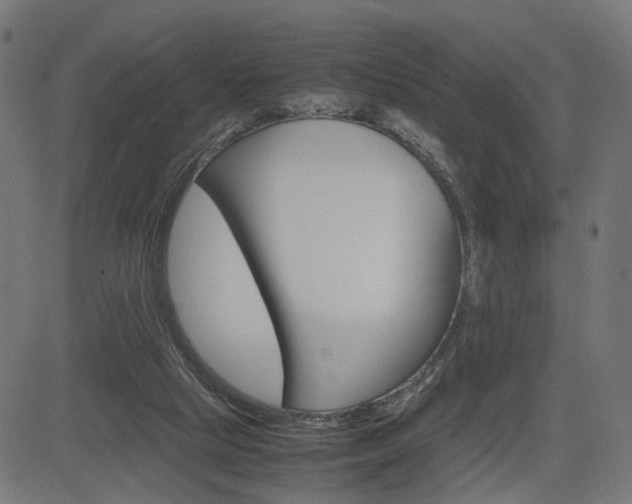 X0000085230065200703090907