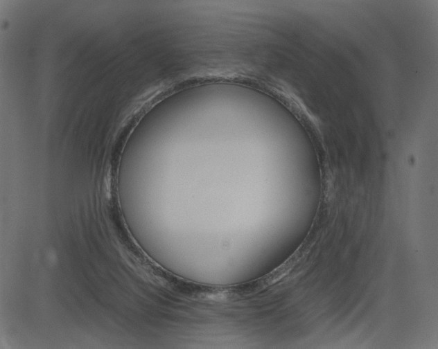 X0000085230068200703090907
