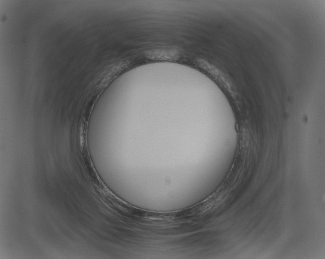 X0000085230069200703090907