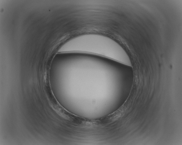 X0000085230072200703090907