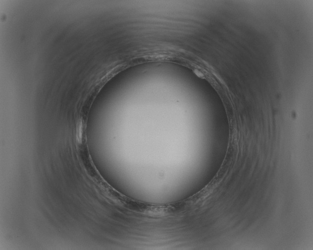 X0000085230076200703090907