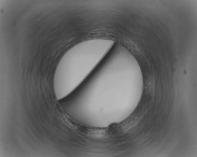X0000085230081200703090907