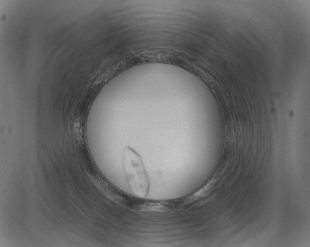 X0000085230086200703090907