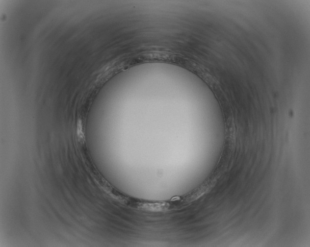 X0000085230089200703090907